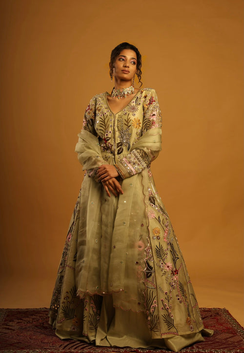 Anarkali cape with lehenga